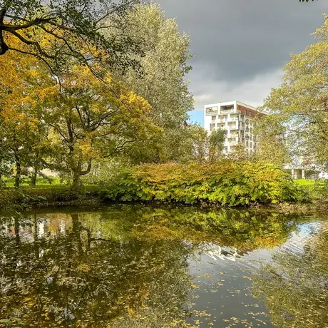 Rzeszów - Jesień w parku im. Władysława Szafera - fot 1