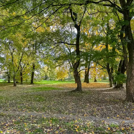 Rzeszów - Jesień w parku im. Władysława Szafera - fot 6