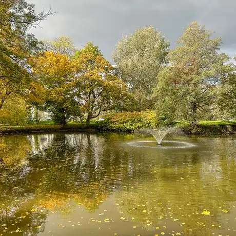 Rzeszów - Jesień w parku im. Władysława Szafera - fot 14