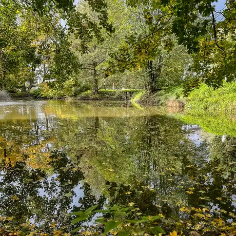 Rzeszów - Jesień w parku im. Władysława Szafera - fot 8