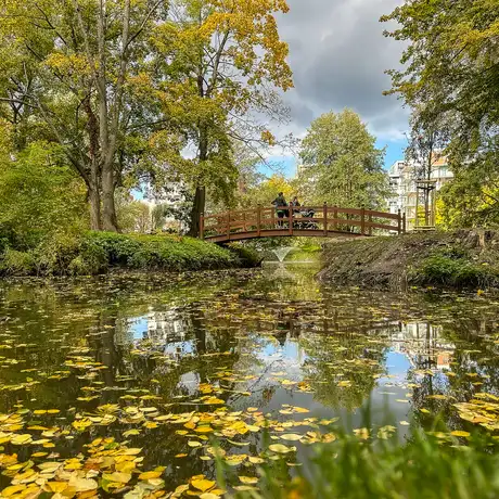 Rzeszów - Jesień w parku im. Władysława Szafera - fot 5