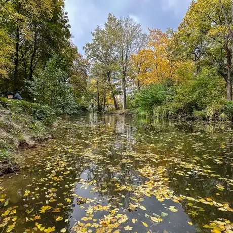 Rzeszów - Jesień w parku im. Władysława Szafera - fot 10