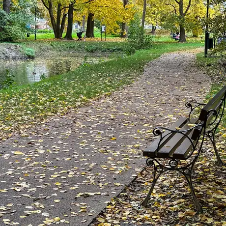 Rzeszów - Jesień w parku im. Władysława Szafera - fot 41