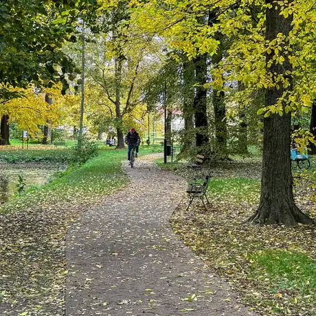 Rzeszów - Jesień w parku im. Władysława Szafera - fot 40