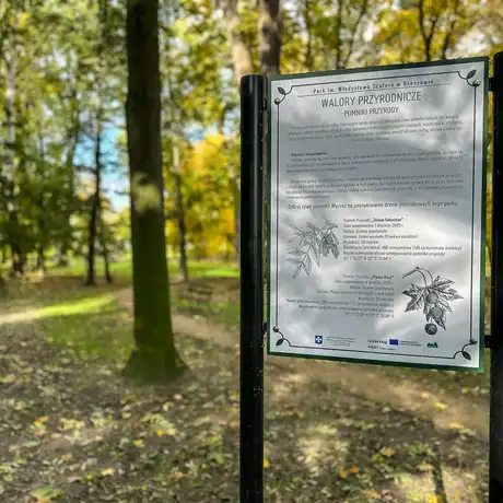 Rzeszów - Jesień w parku im. Władysława Szafera - fot 37