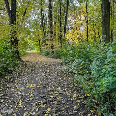 Rzeszów - Jesień w parku im. Władysława Szafera - fot 31