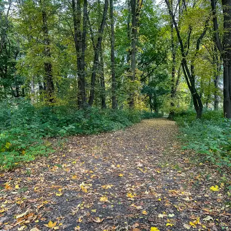 Rzeszów - Jesień w parku im. Władysława Szafera - fot 28