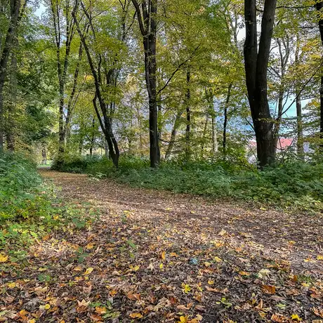Rzeszów - Jesień w parku im. Władysława Szafera - fot 25