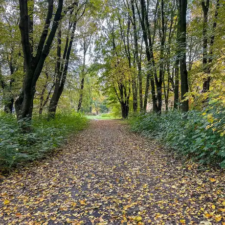Rzeszów - Jesień w parku im. Władysława Szafera - fot 23