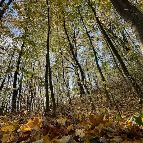 Rzeszów - Jesienny spacer po Lisiej Górze - fot 20