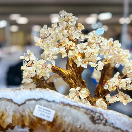 Rzeszów - Listopadowa Giełda Biżuterii i Minerałów w Rzeszowie - fot 28