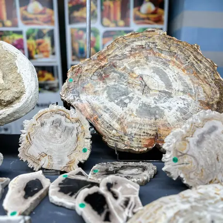 Rzeszów - Listopadowa Giełda Biżuterii i Minerałów w Rzeszowie - fot 53