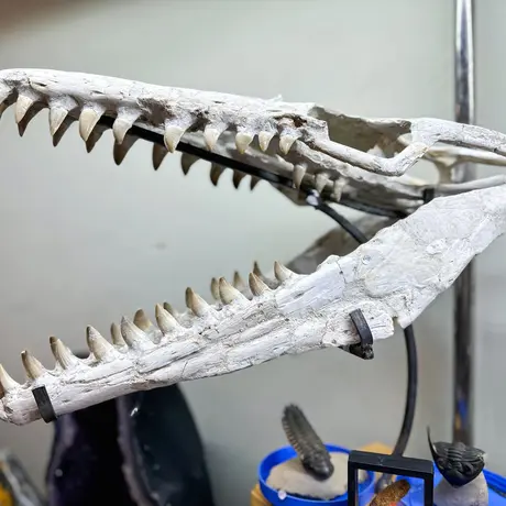 Rzeszów - Listopadowa Giełda Biżuterii i Minerałów w Rzeszowie - fot 44