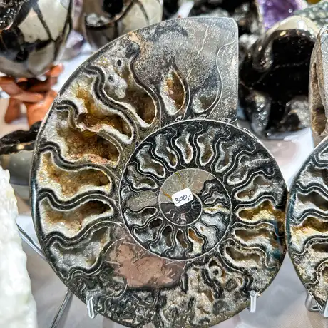 Rzeszów - Listopadowa Giełda Biżuterii i Minerałów w Rzeszowie - fot 33