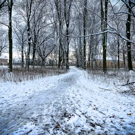 Rzeszów - Park Szafera w zimowej scenerii - fot 19