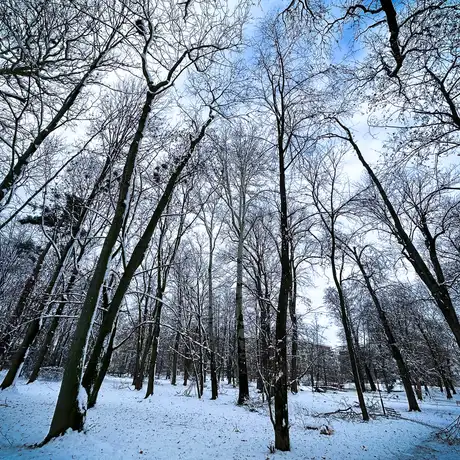 Rzeszów - Park Szafera w zimowej scenerii - fot 17