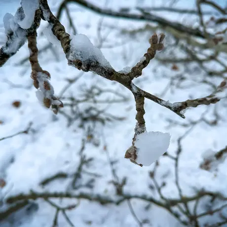 Rzeszów - Park Szafera w zimowej scenerii - fot 20
