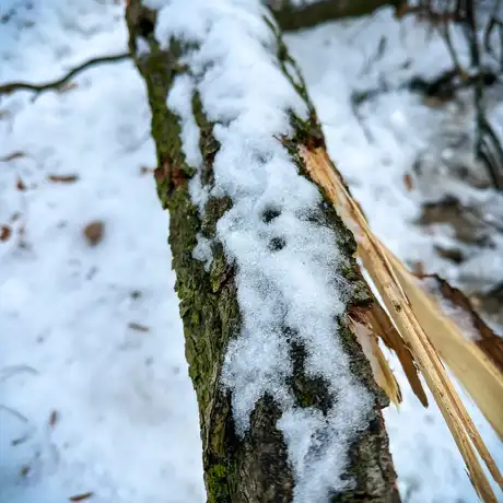 Rzeszów - Park Szafera w zimowej scenerii - fot 18