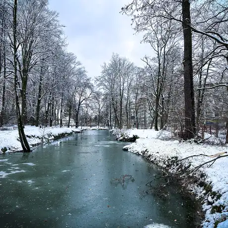 Rzeszów - Park Szafera w zimowej scenerii - fot 15