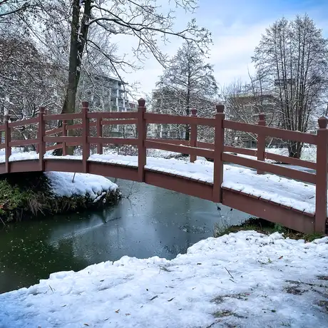 Rzeszów - Park Szafera w zimowej scenerii - fot 14