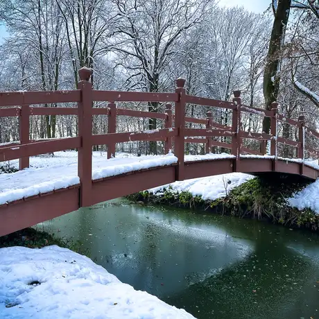 Rzeszów - Park Szafera w zimowej scenerii - fot 13