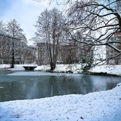 Rzeszów - Park Szafera w zimowej scenerii - fot 12
