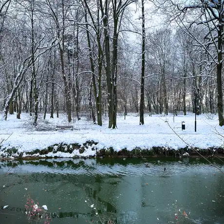 Rzeszów - Park Szafera w zimowej scenerii - fot 11