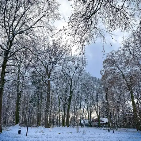 Rzeszów - Park Szafera w zimowej scenerii - fot 10