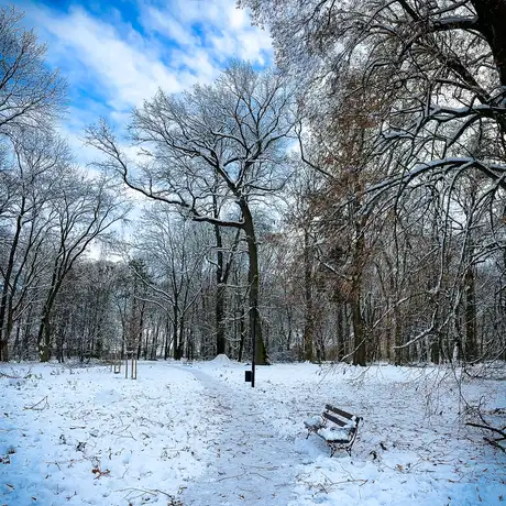 Rzeszów - Park Szafera w zimowej scenerii - fot 6