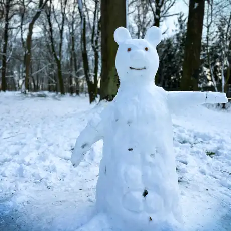 Rzeszów - Park Szafera w zimowej scenerii - fot 9