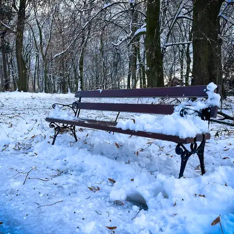 Rzeszów - Park Szafera w zimowej scenerii - fot 7