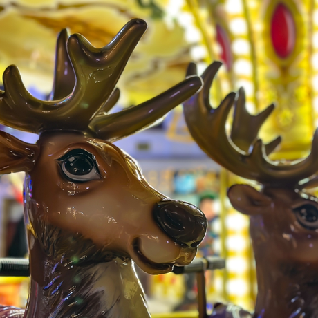 Rzeszów - Świąteczne Miasteczko na rzeszowskim Rynku [2025/2026] - fot 11