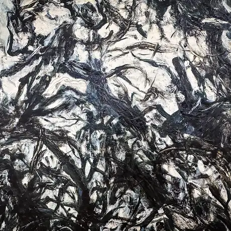 Rzeszów - Bartosz Nalepa / DNO LASU - wystawa w BWA - fot 8