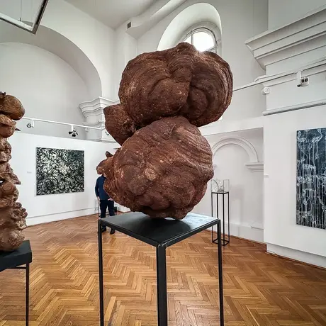 Rzeszów - Bartosz Nalepa / DNO LASU - wystawa w BWA - fot 13