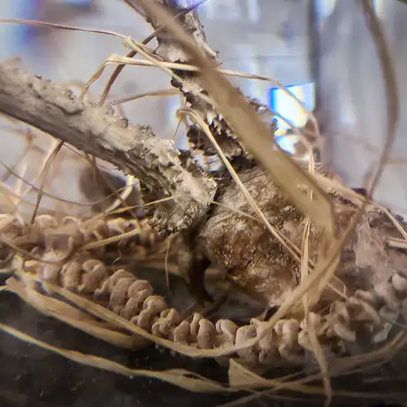 Rzeszów - Bartosz Nalepa / DNO LASU - wystawa w BWA - fot 32