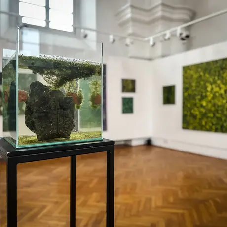 Rzeszów - Bartosz Nalepa / DNO LASU - wystawa w BWA - fot 11