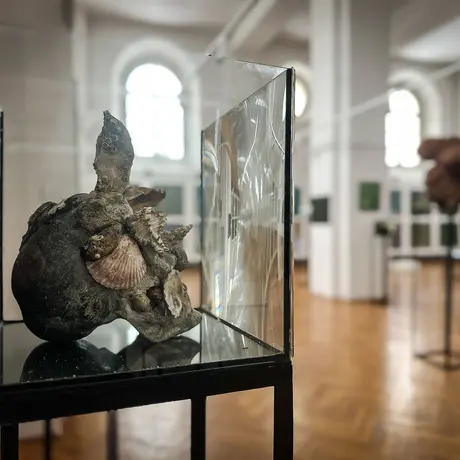 Rzeszów - Bartosz Nalepa / DNO LASU - wystawa w BWA - fot 30