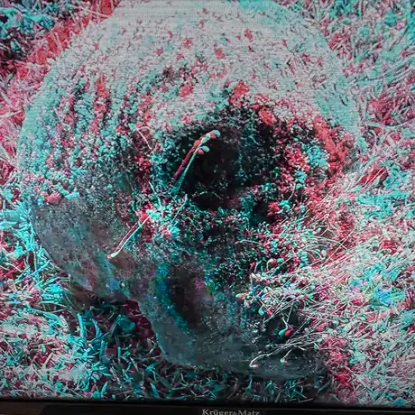 Rzeszów - Bartosz Nalepa / DNO LASU - wystawa w BWA - fot 2