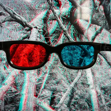 Rzeszów - Bartosz Nalepa / DNO LASU - wystawa w BWA - fot 26