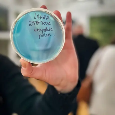 Rzeszów - Bartosz Nalepa / DNO LASU - wystawa w BWA - fot 28