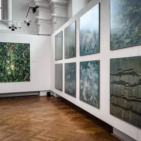 Rzeszów - Bartosz Nalepa / DNO LASU - wystawa w BWA - fot 24