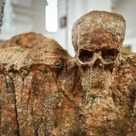 Rzeszów - Bartosz Nalepa / DNO LASU - wystawa w BWA - fot 25