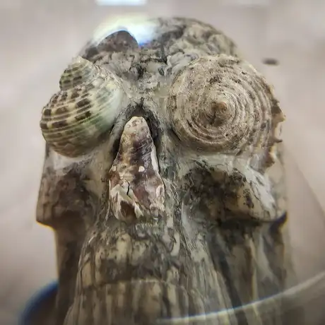 Rzeszów - Bartosz Nalepa / DNO LASU - wystawa w BWA - fot 9