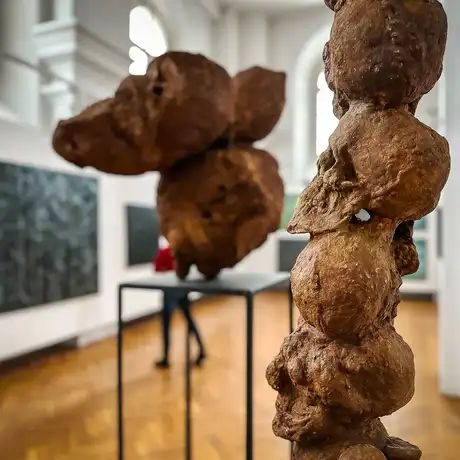 Rzeszów - Bartosz Nalepa / DNO LASU - wystawa w BWA - fot 21