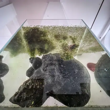 Rzeszów - Bartosz Nalepa / DNO LASU - wystawa w BWA - fot 4