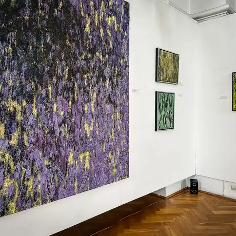 Rzeszów - Bartosz Nalepa / DNO LASU - wystawa w BWA - fot 3