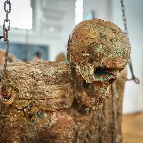 Rzeszów - Bartosz Nalepa / DNO LASU - wystawa w BWA - fot 5