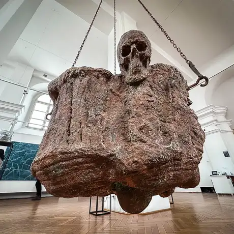 Rzeszów - Bartosz Nalepa / DNO LASU - wystawa w BWA - fot 46