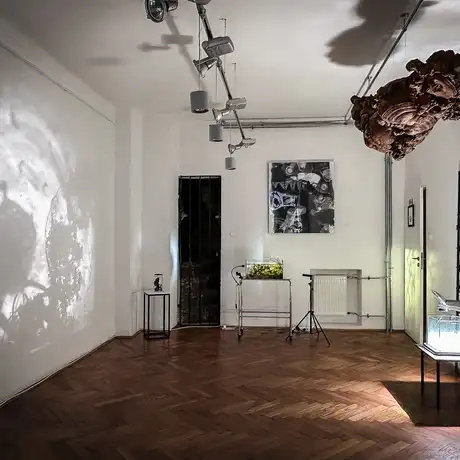 Rzeszów - Bartosz Nalepa / DNO LASU - wystawa w BWA - fot 45