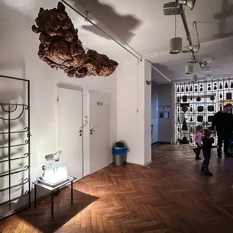 Rzeszów - Bartosz Nalepa / DNO LASU - wystawa w BWA - fot 43